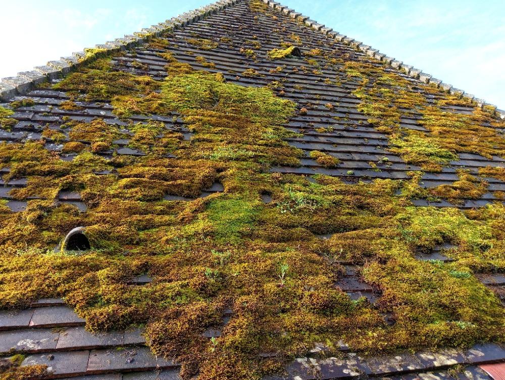 forte épaisseur de mousse sur une maison